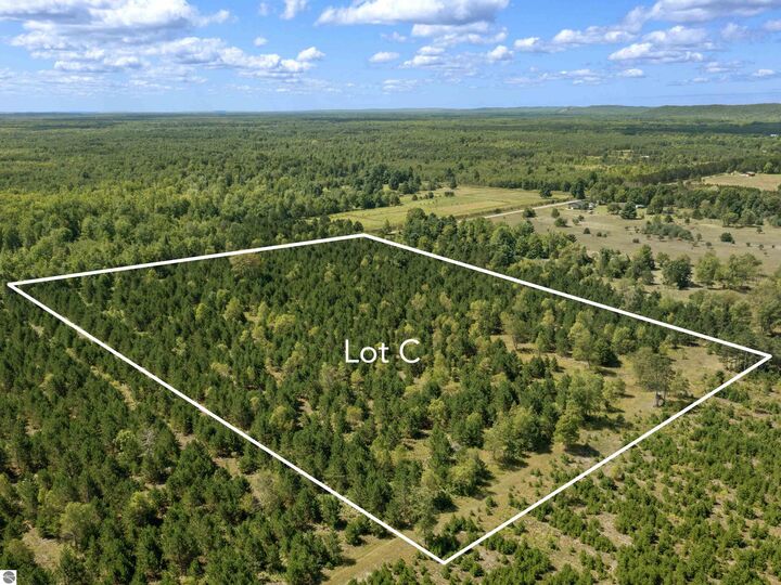 Property Photo: 15 Acres Wallin Road C MI 49683