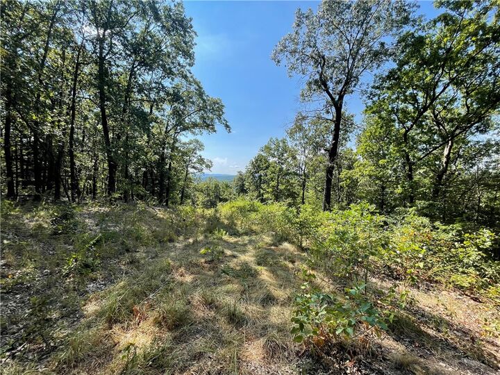 00 Nc Rd 4200  Western Grove AR 72685 photo