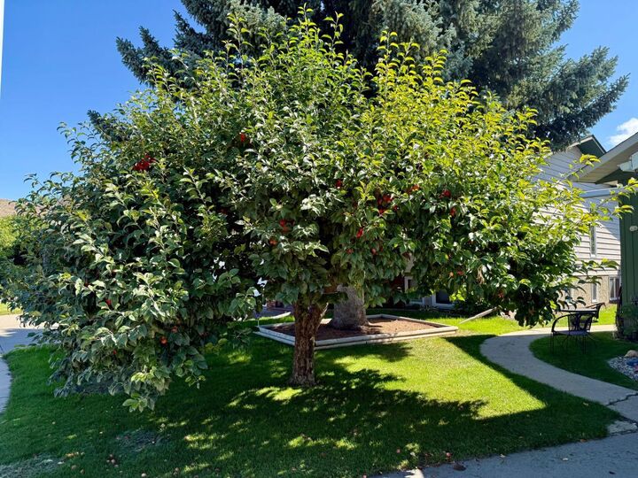 Property Photo:  807 8 Avenue SE  AB T1V 1K9 