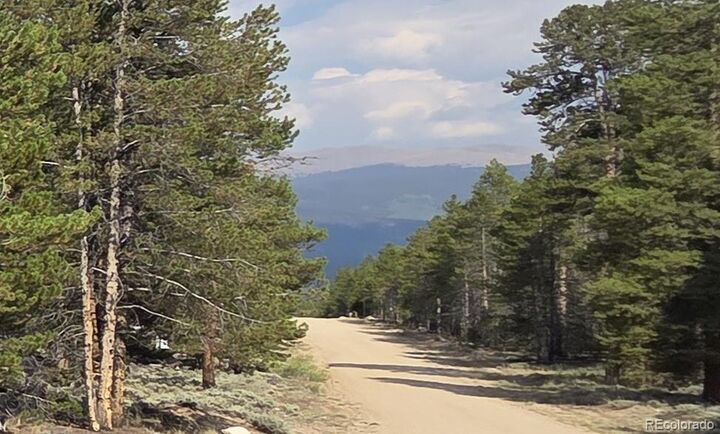 455 Spruce Drive  Leadville CO 80461 photo