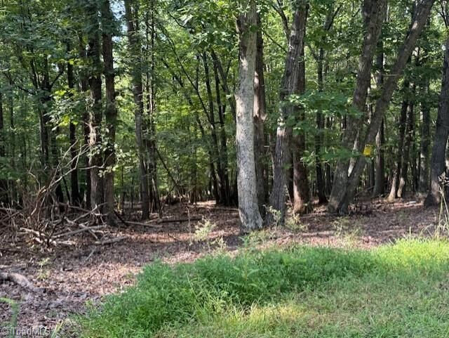 Property Photo:  0 Cedar Mountain Road  NC 27027 