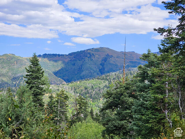 Property Photo: 33 Pine Ridge Estates Dr 33 UT 84647