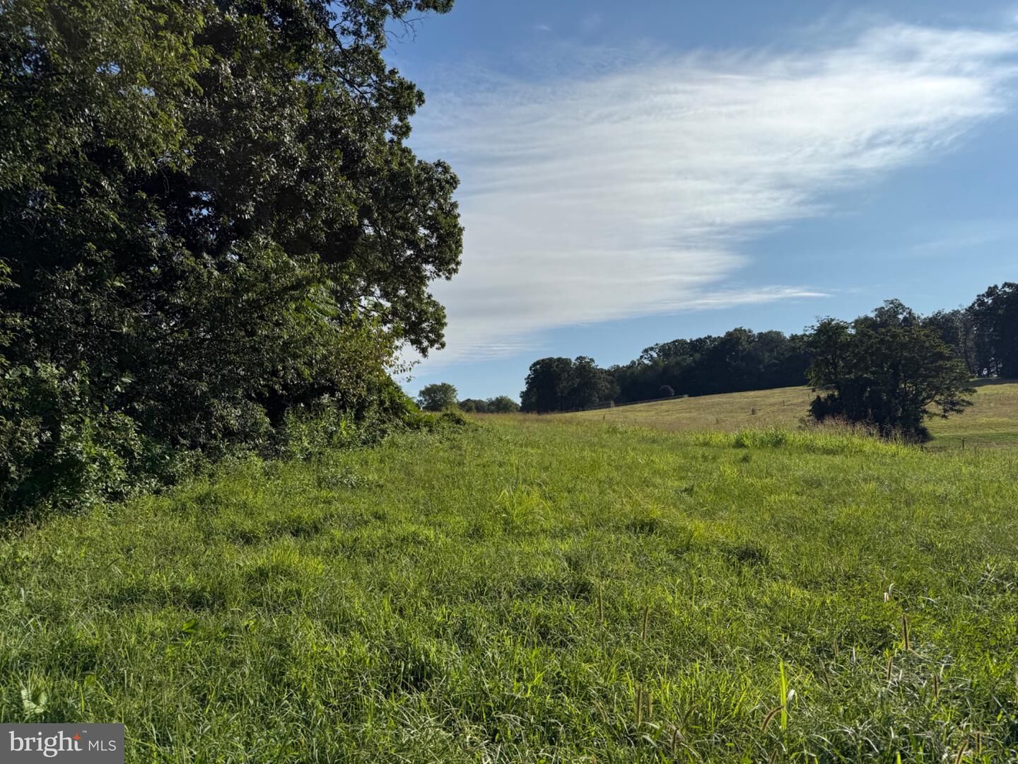 Property Photo: 187 Collamer Road PA 19363