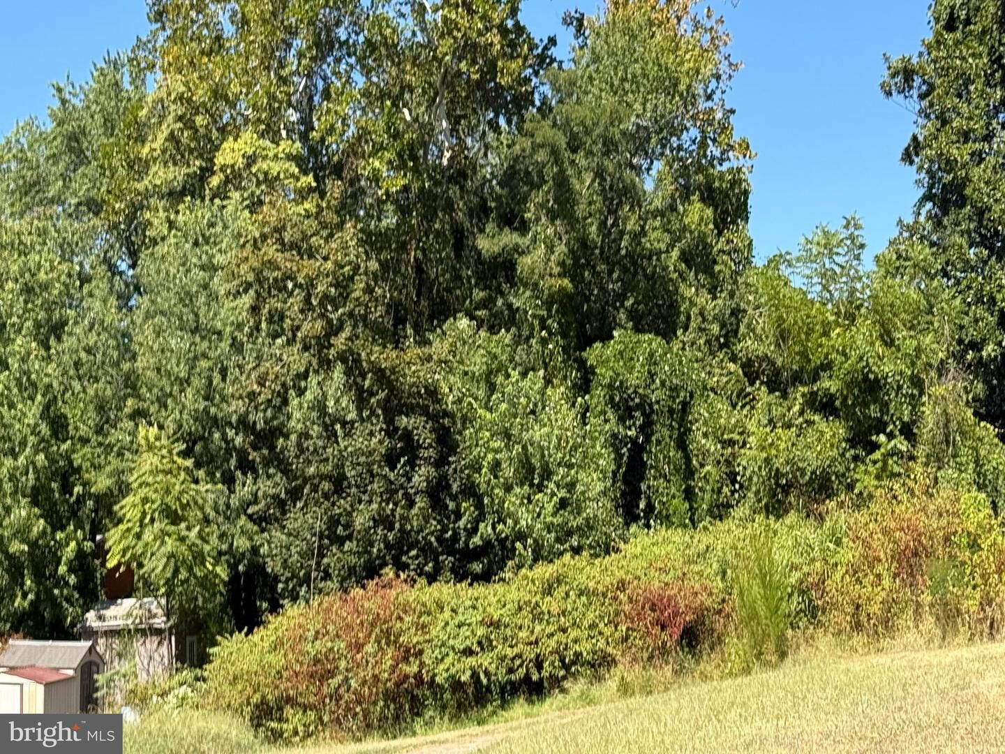 Property Photo:  214 2nd Avenue  VA 22134 