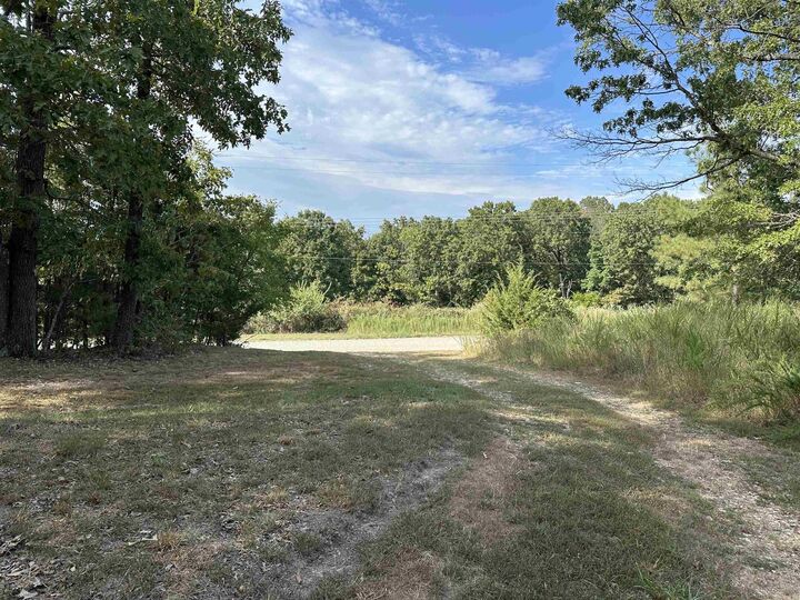 1190 Robinwood Lane  Yellville AR 72687 photo