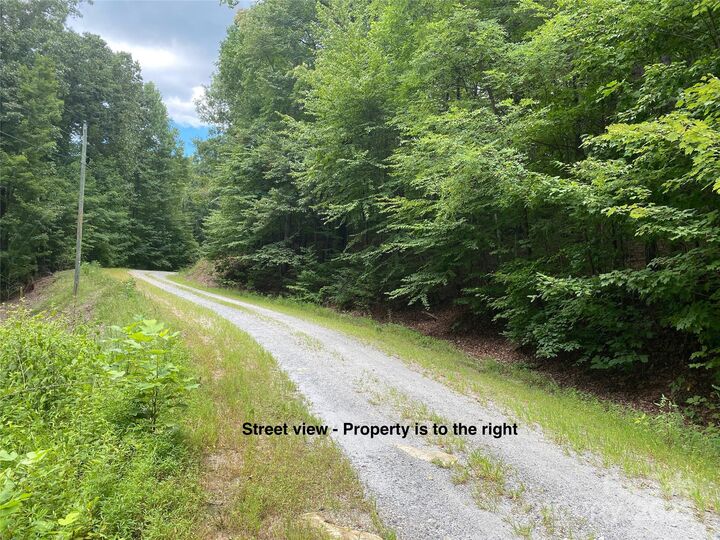 000 Steven Street  Lake Lure NC 28746 photo