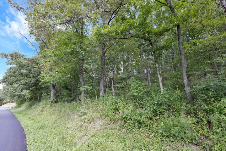 Property Photo: 0 Clay Lick Road OH 43138