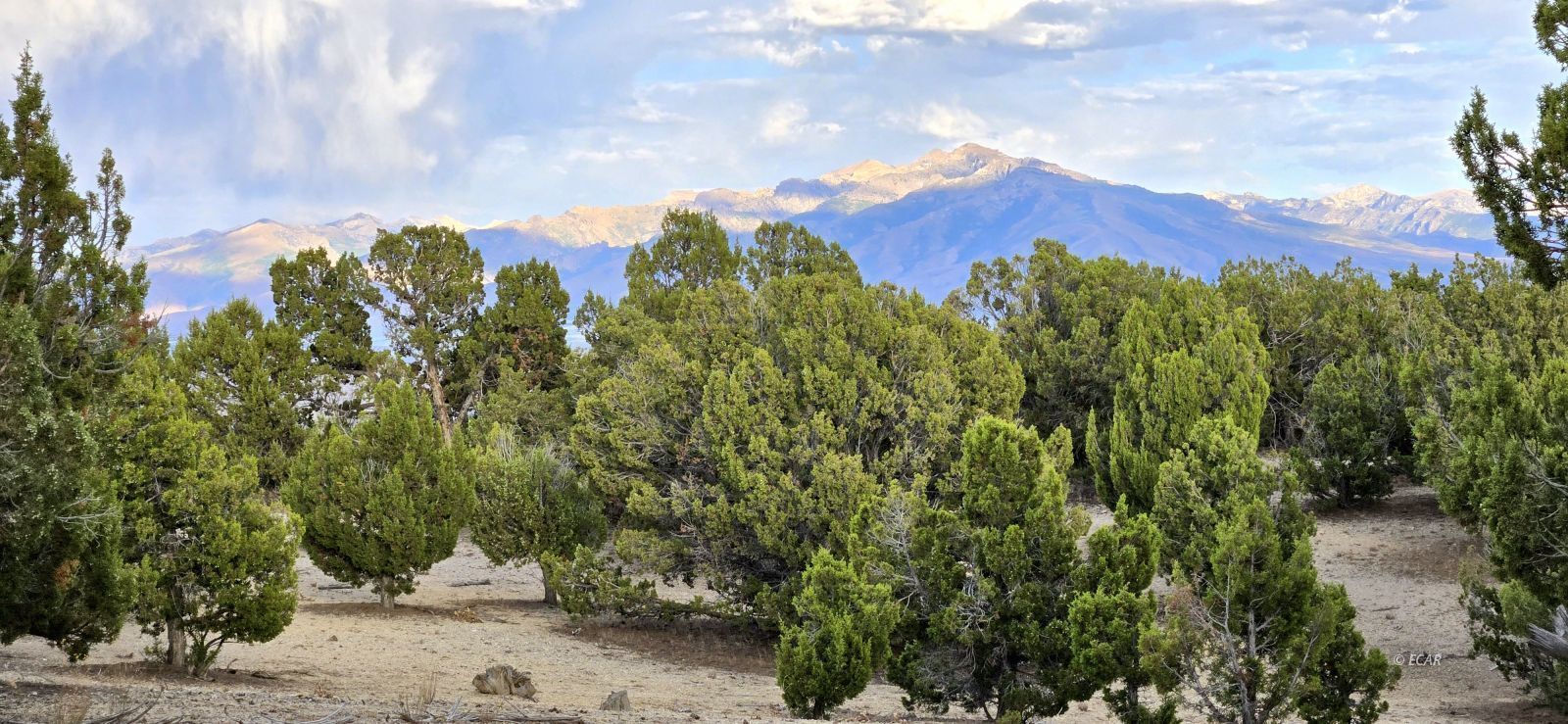 Property Photo: 816 Hamilton Stage Road NV 89801
