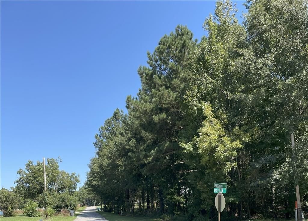 Property Photo: 1091 Mantahala Lot 2 Avenue GA 30642