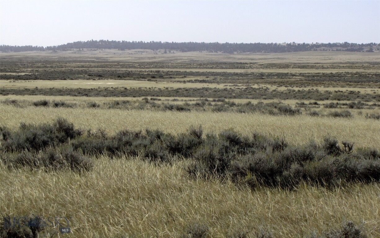 Property Photo: Tbd Lindstrom Road MT 59079