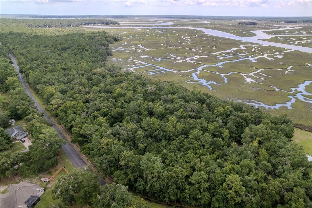Property Photo: 0 Sheffield Island Road GA 31569