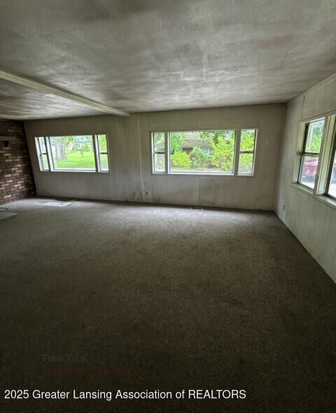 Property Photo: 9882 W M 21 MI 48866