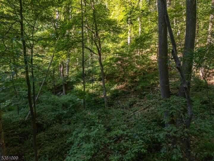 0 Sweet Hollow Road  Holland Twp. NJ 08848 photo