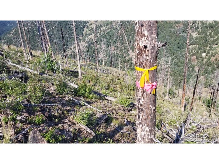 Property Photo:  0 Gold Trl  CO 80302 