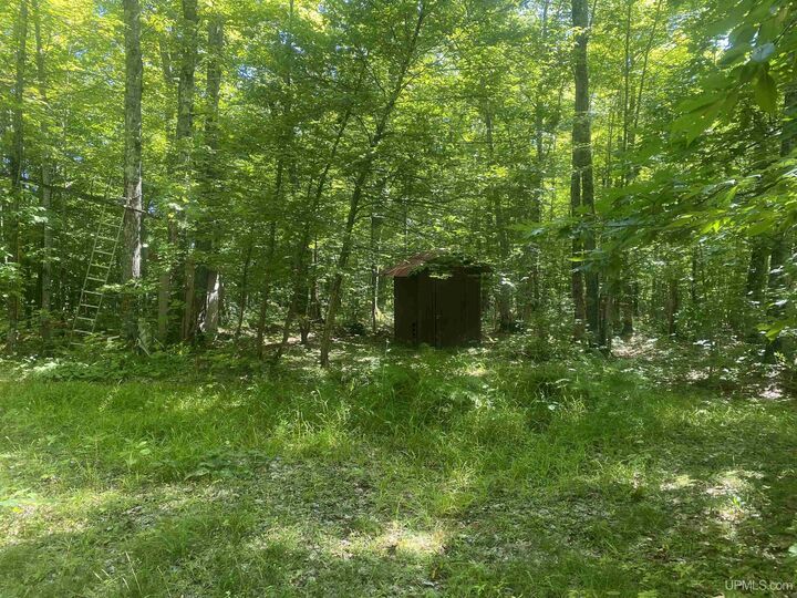 Property Photo:  Tbd M26 Highway  MI 49965 