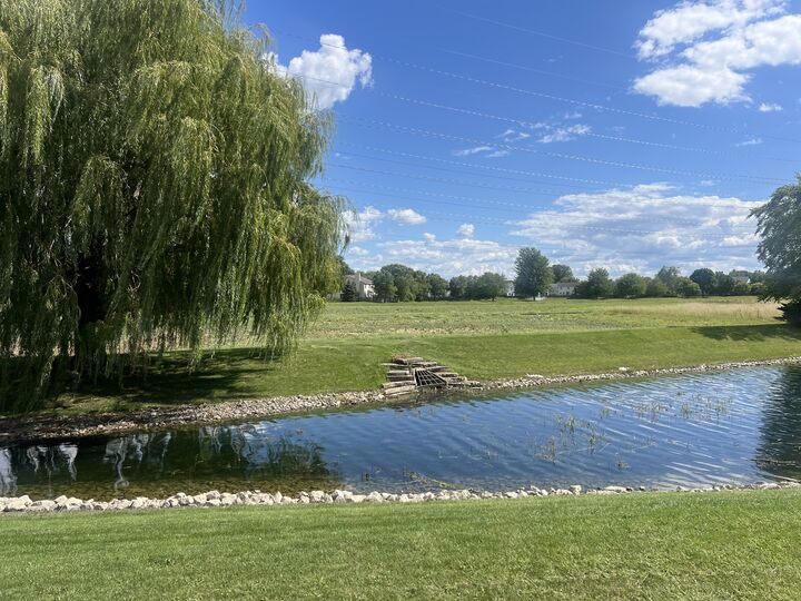 Property Photo:  251 Summerfield Drive  IL 60446 