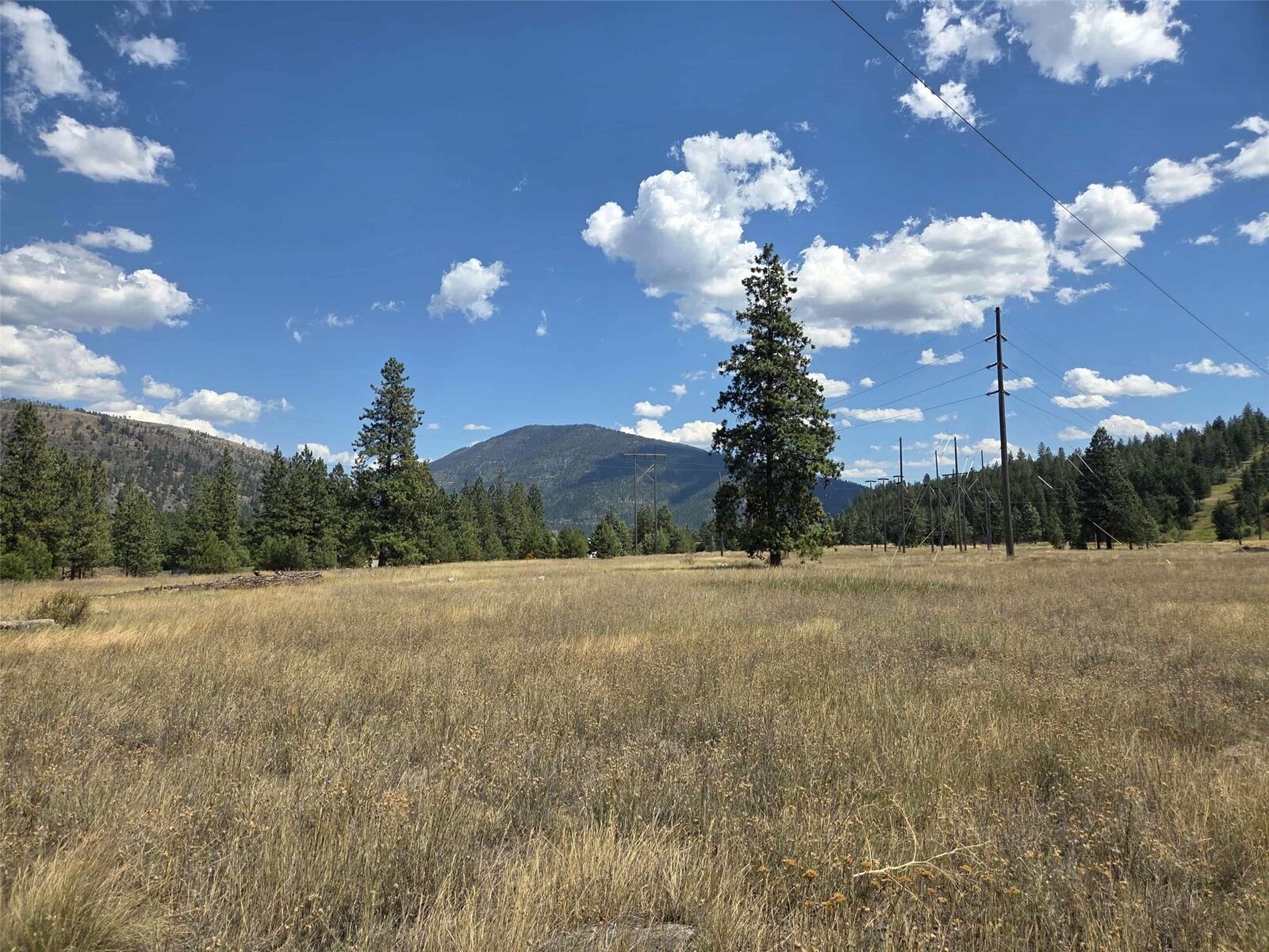 Property Photo: 1005 Deer Creek Road Lot 4 MT 59802