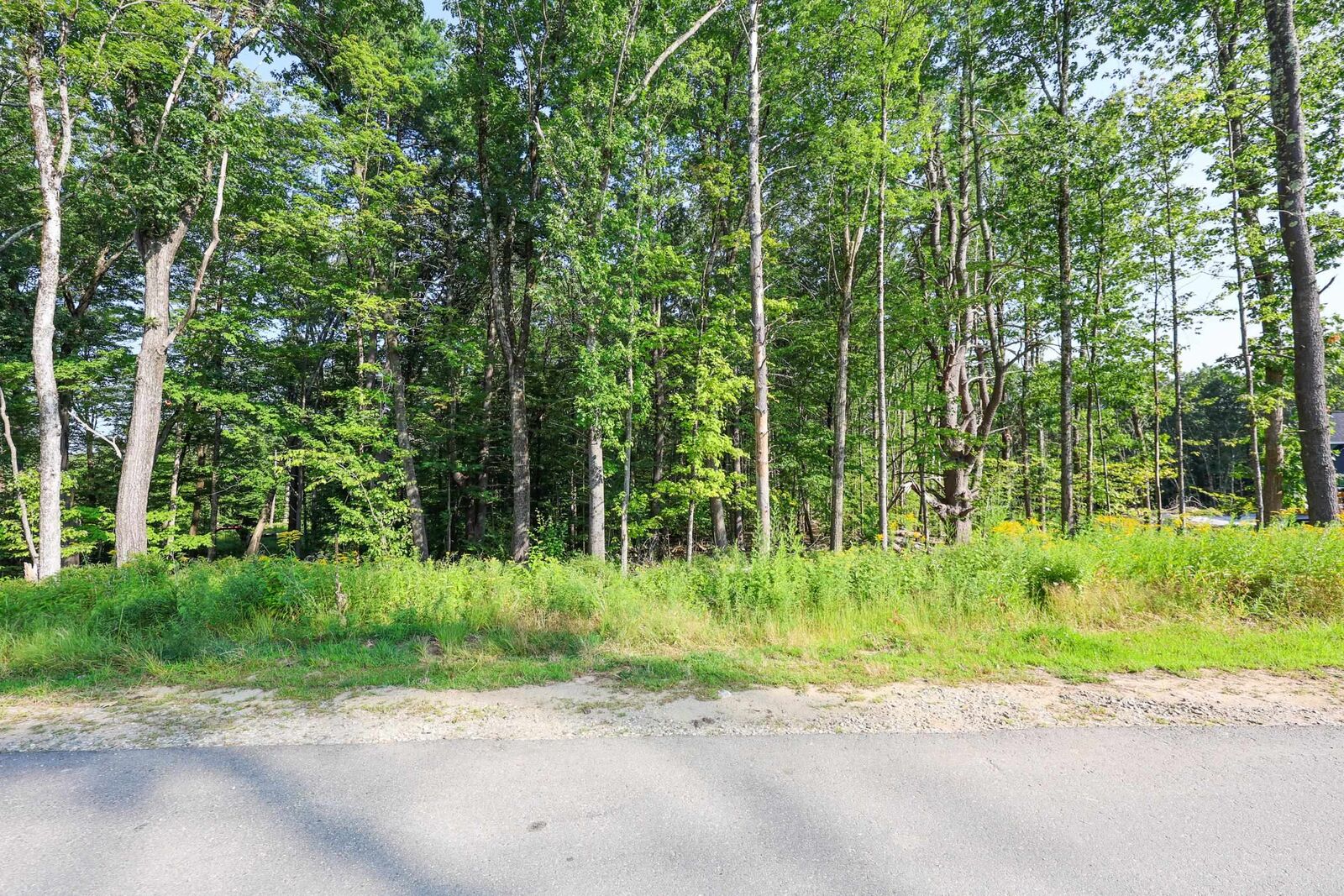 Property Photo: 44-9 Olympus Way NH 03110