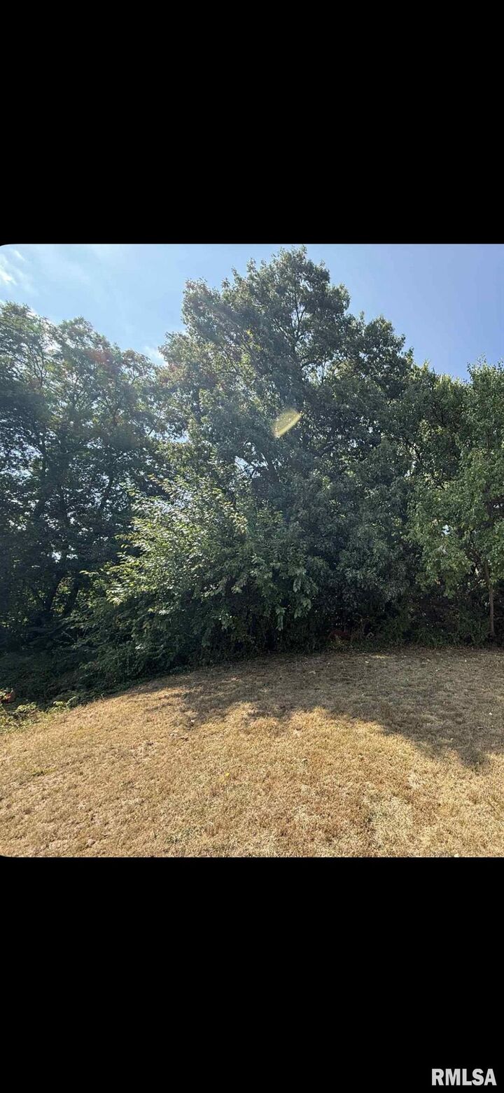 Property Photo:  323 Buena Vista Street  IL 61607