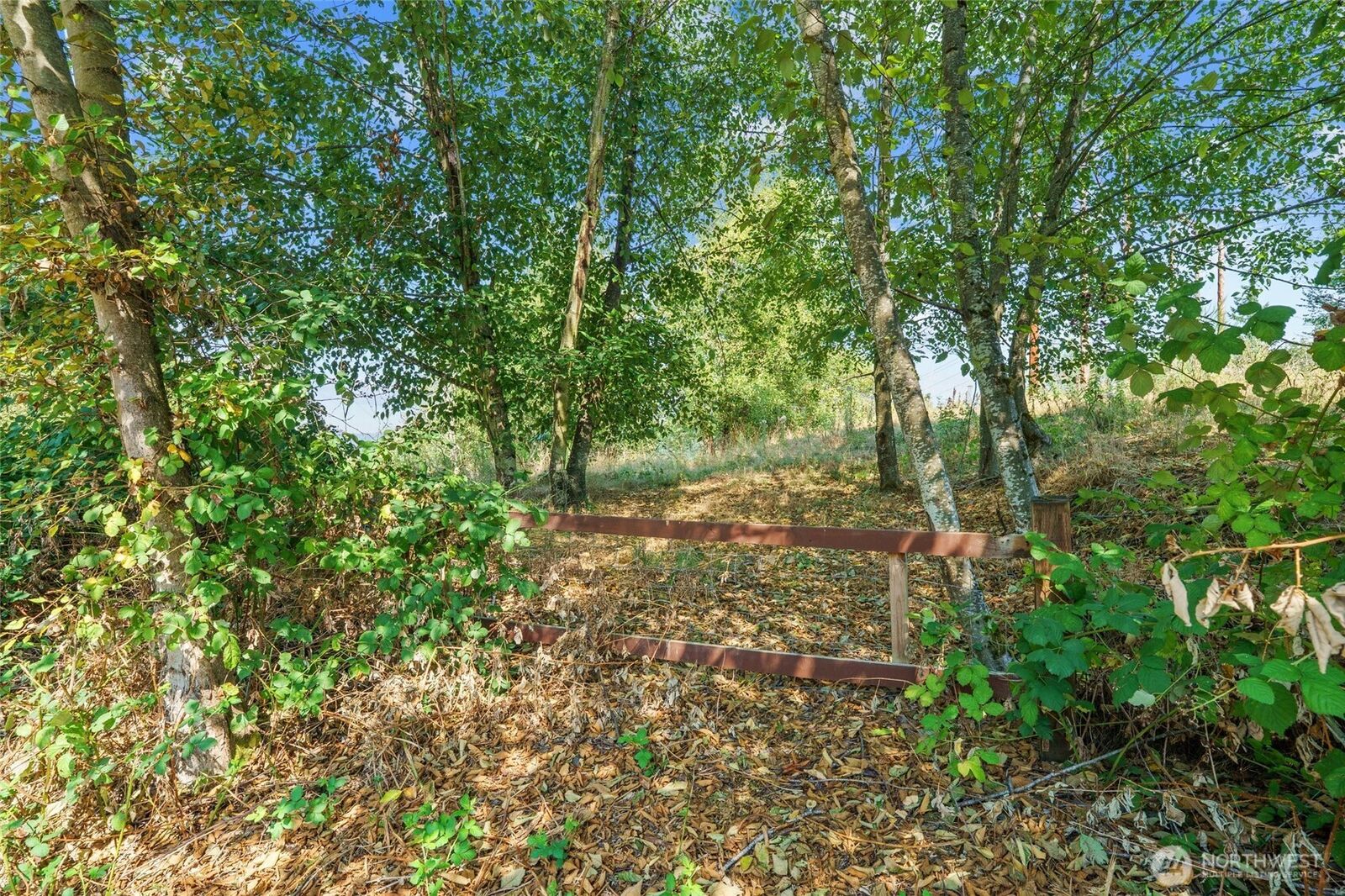 Property Photo:  1111  124th Avenue NE  WA 98072 
