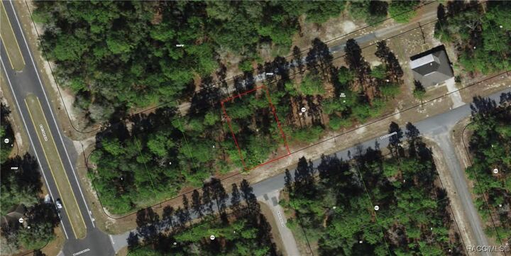 Property Photo: 339 W Goldcoast Place FL 34434