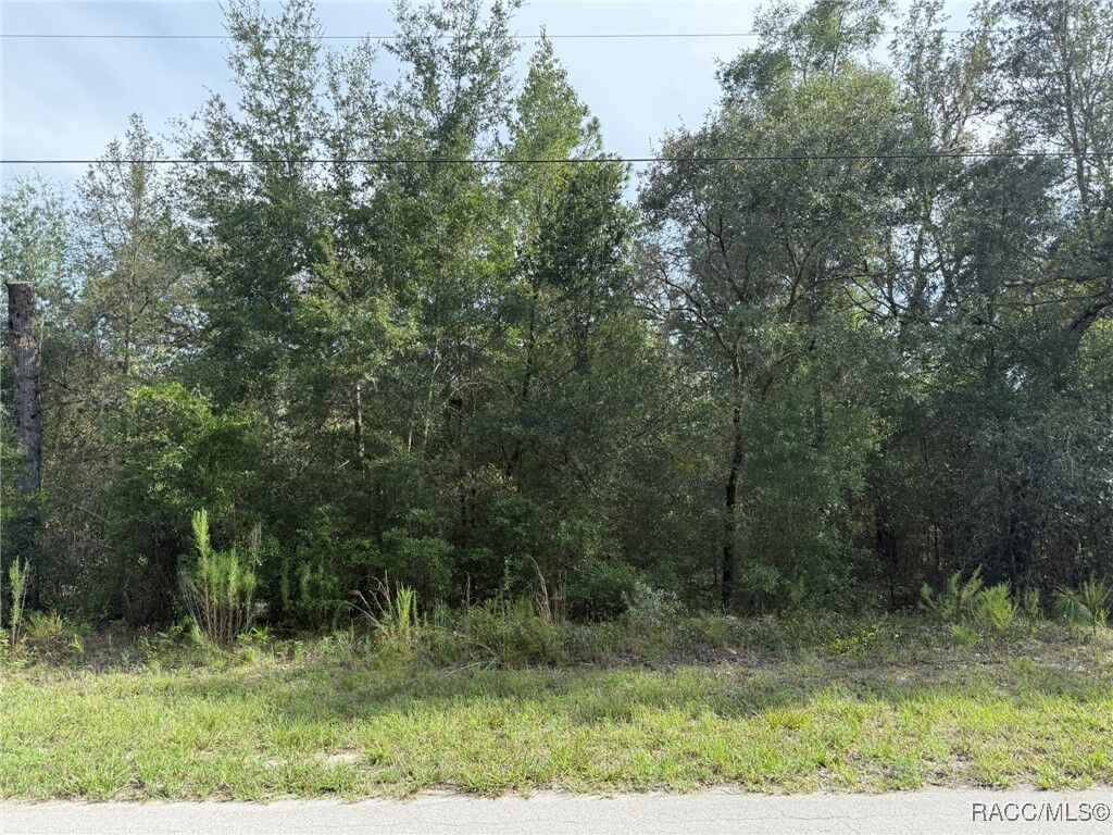 Property Photo:  2538 W Dellwood Street  FL 34434 