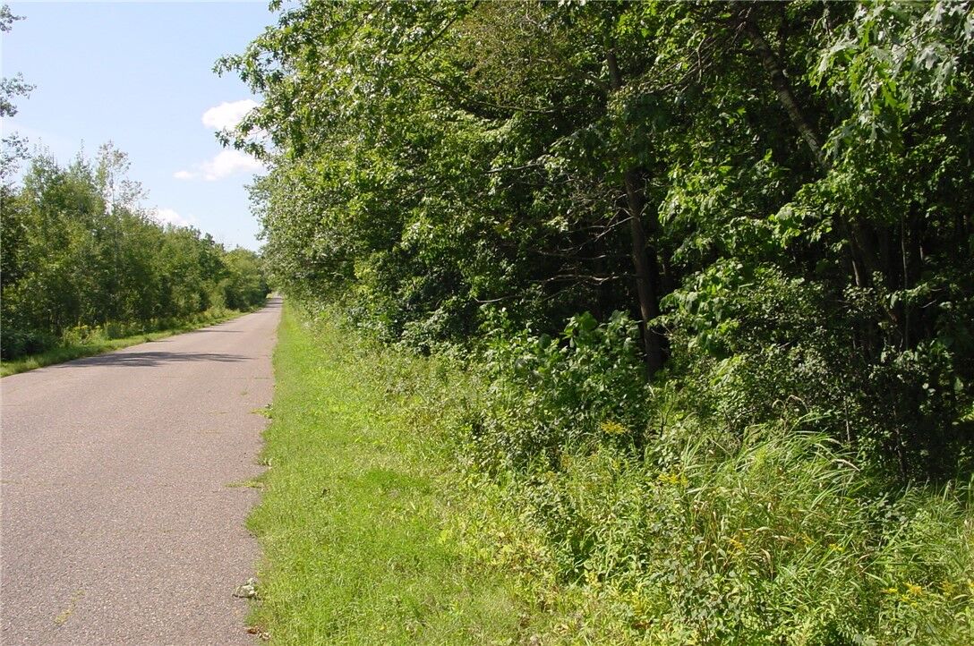 Property Photo:  W11816 Imalone Road  WI 54819 
