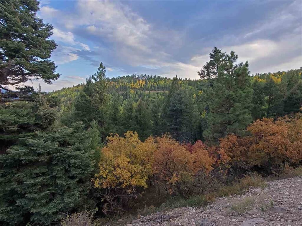 Property Photo:  Lot 13 Palo Flechado  NM 87710 