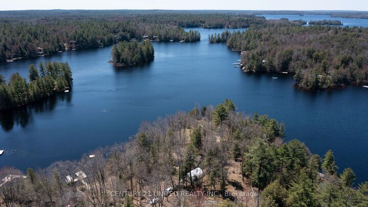 Photo de la propriété:  45 Fire Route 223 N/A  ON K0L 1J0 