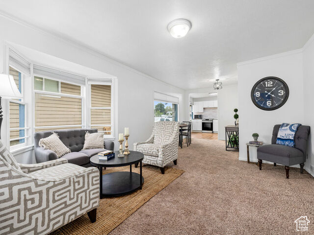 Property Photo:  245 N 800 E  UT 84606 