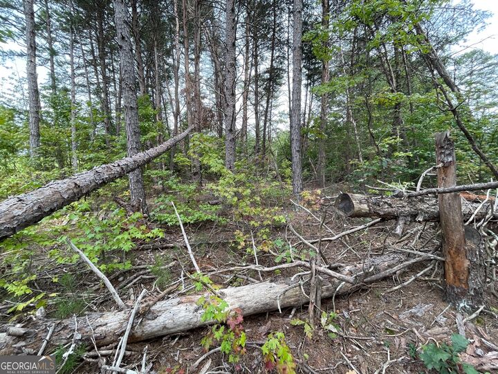 Property Photo:  Lot 1125 Bunker Lane  SC 29693 
