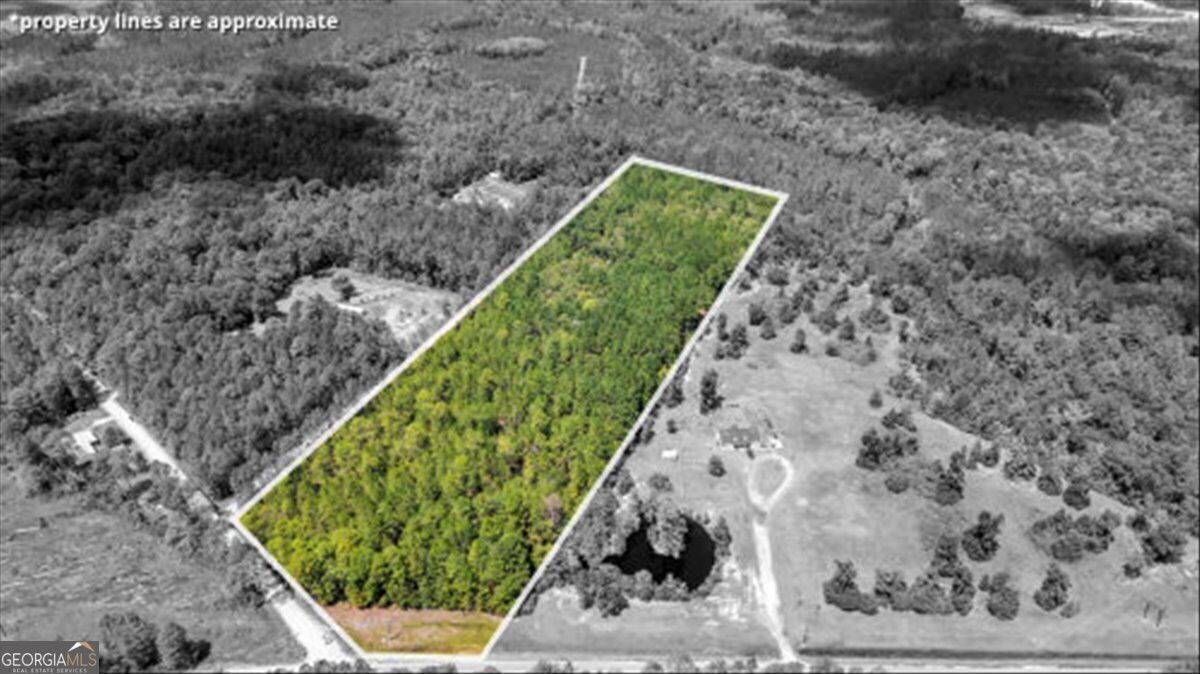 Property Photo: 15.5 Ac Elim Church Road GA 31316