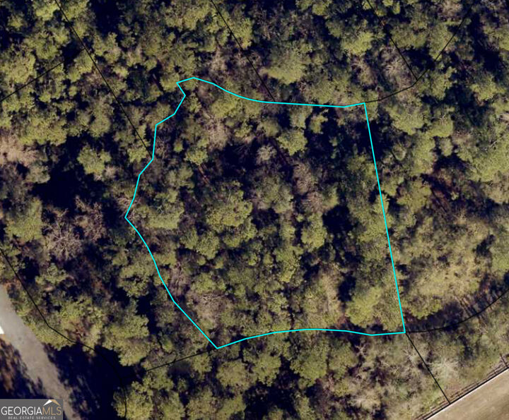 Property Photo:  111 Canoe Run  GA 31569 