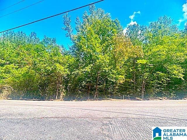 Property Photo: 2556 Smith Sims Road 1 GA 35173