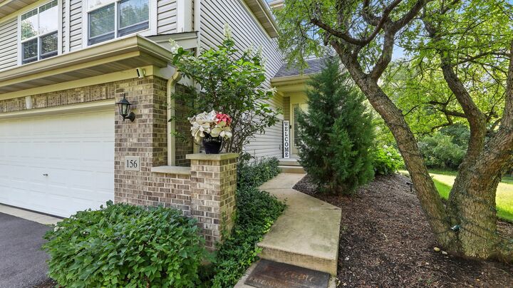 Property Photo:  156 River Mist Drive  IL 60543 