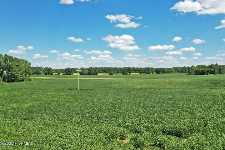 Property Photo:  0 Highway 481  NC 27823 