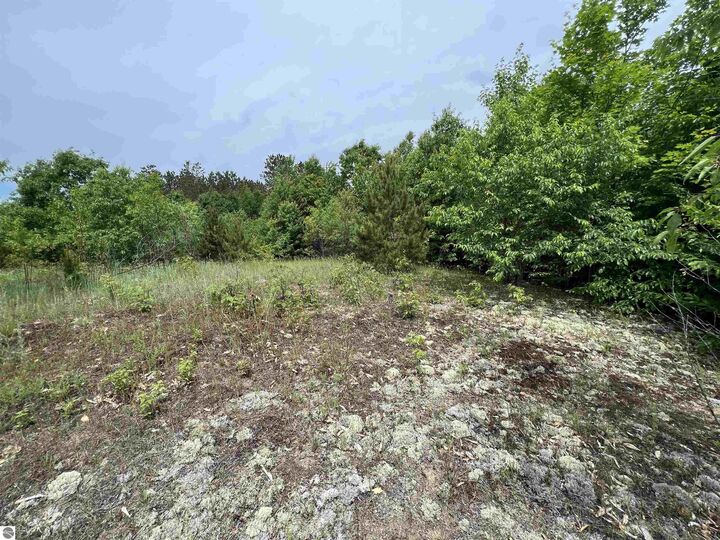 Property Photo: 5 Acres Little Lane MI 49646