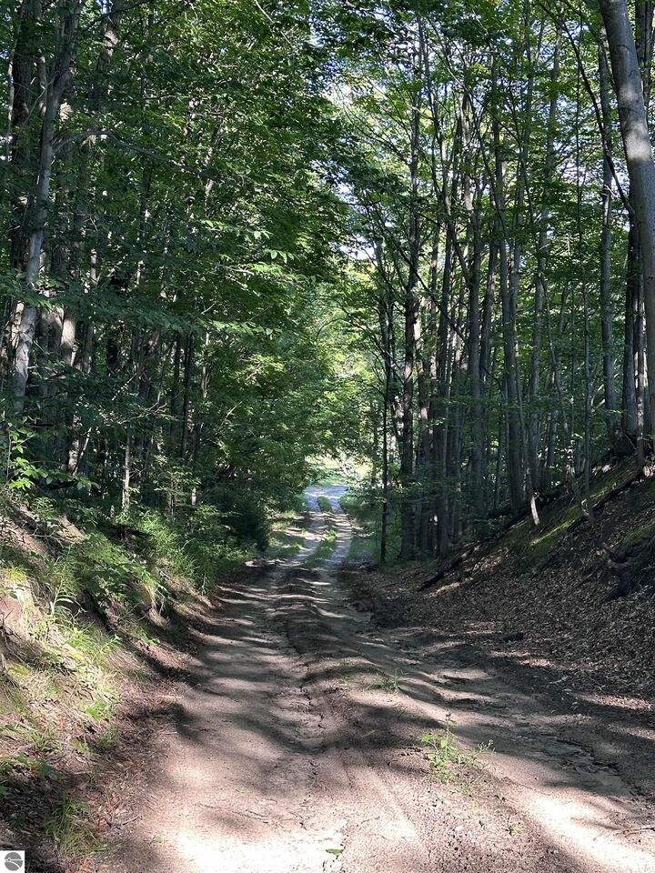 Property Photo: 00 Hansel Strause E MI 49615