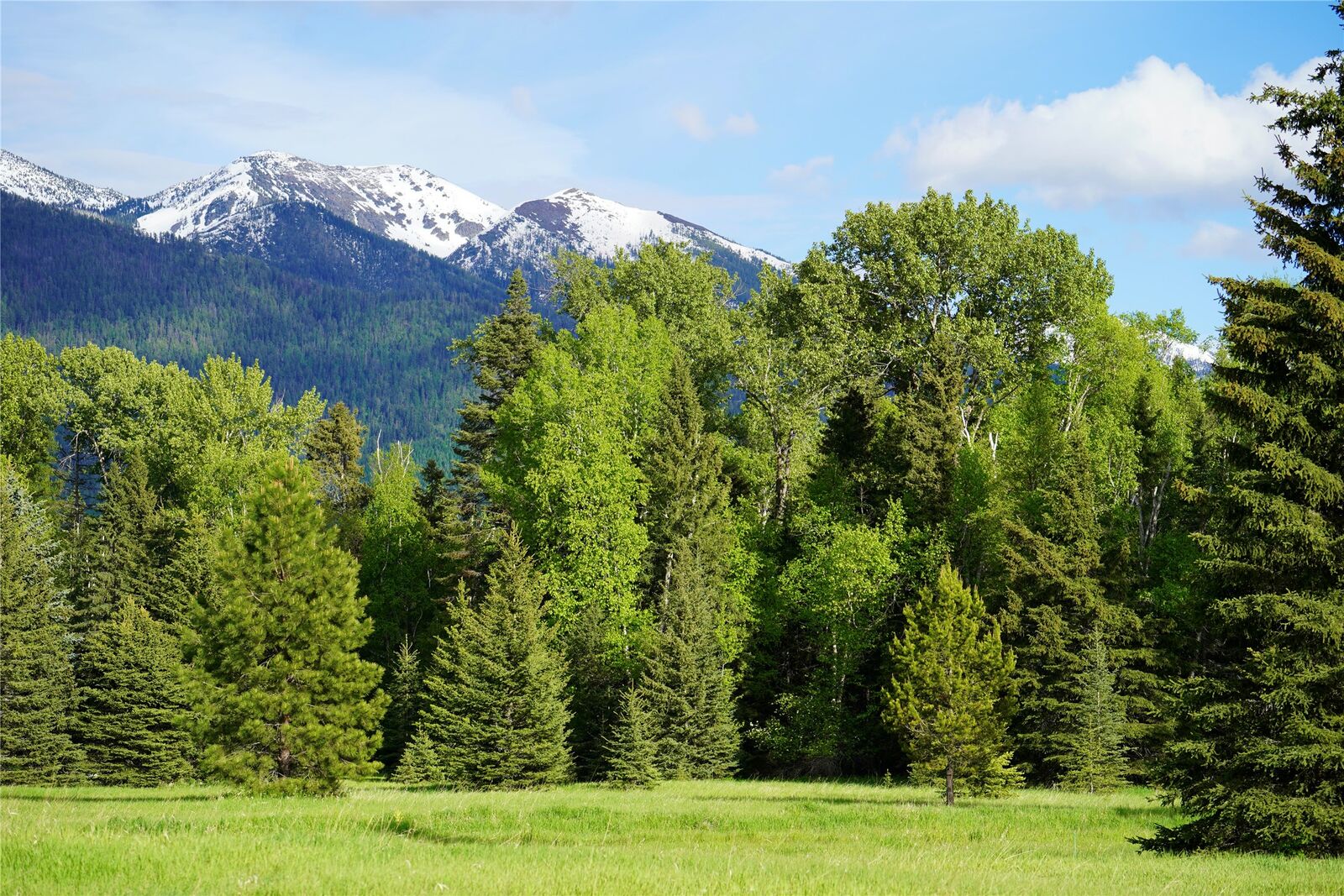 Property Photo:  Nhn Wolf Creek Ranch Road  MT 59911 