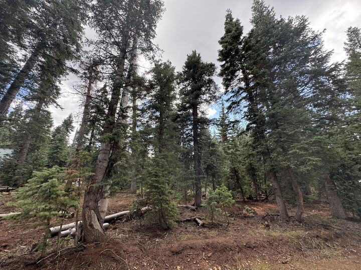 Property Photo: 975 W Twisted Trail UT 84762