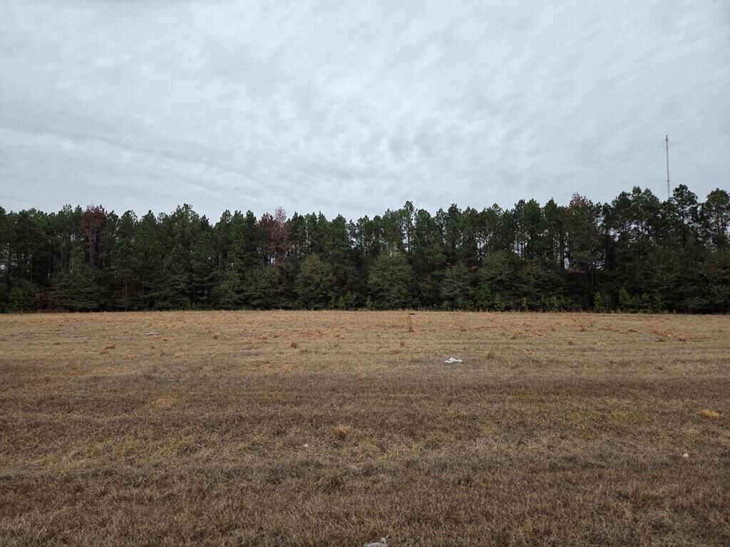 Property Photo:  118 Joe Wright Drive/New Harvest Road Lot C  GA 31015 