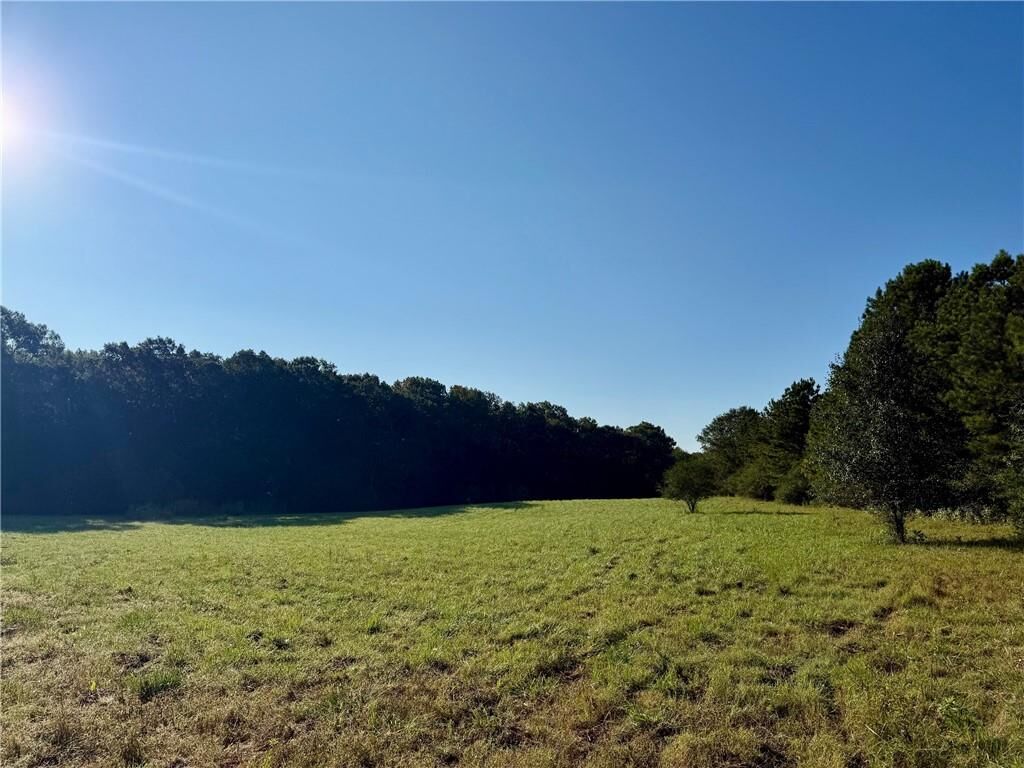 Property Photo:  156 Nesbitt Loop NE  GA 30735 