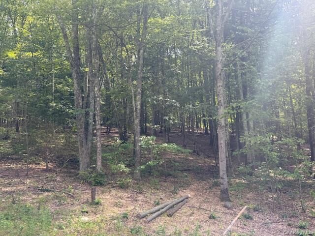 Property Photo: Lot 3 Shoddy Hollow Road NY 10963