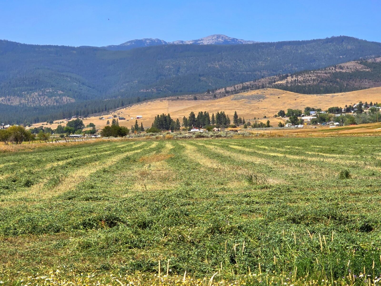 Property Photo:  Tract 1B Of Cos 3917 Ekblad Road  MT 59845 