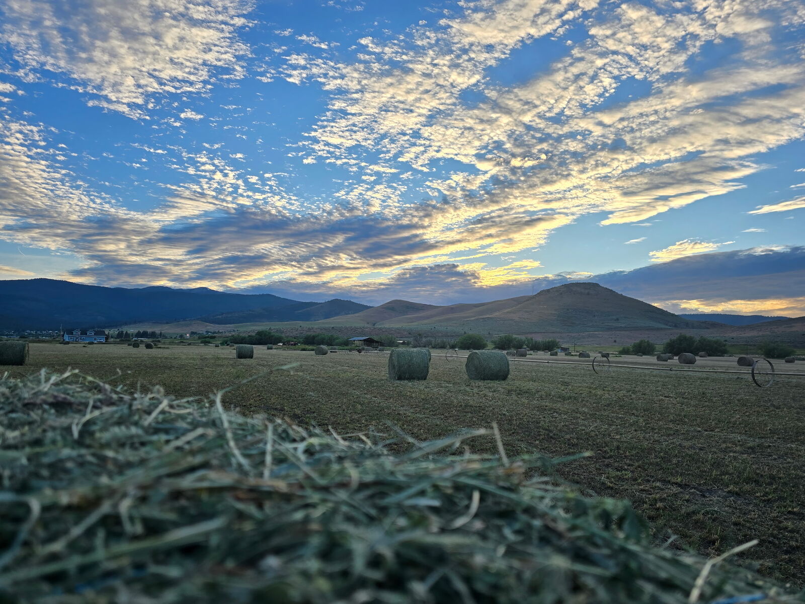Property Photo:  Tract 1B Of Cos 3917 Ekblad Road  MT 59845 