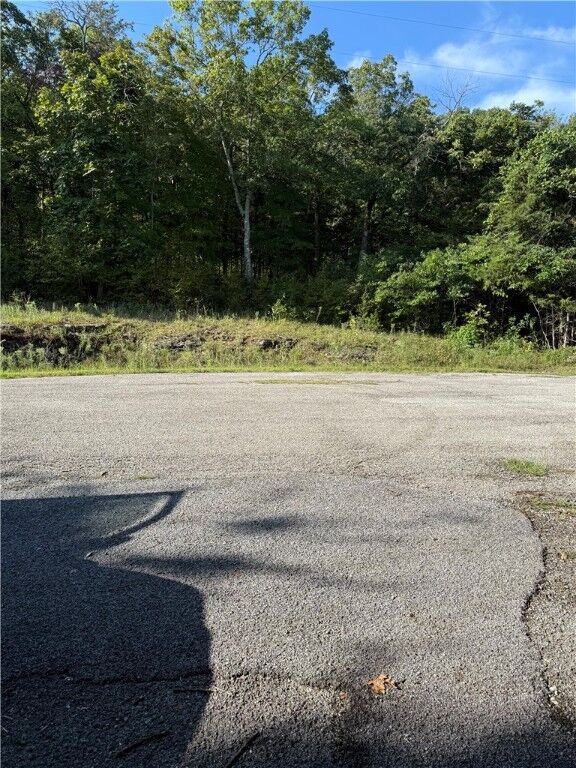 Property Photo: 6 Puma Lane AR 72631