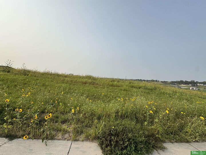 Property Photo: Tbd Lot 42 Street NE 68028