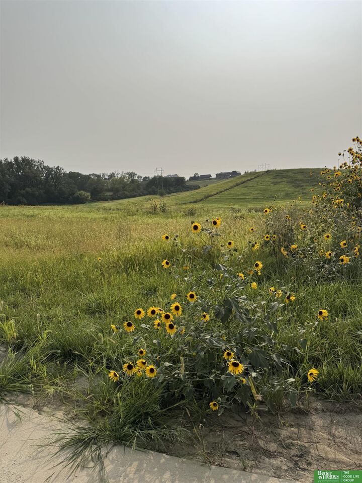 Property Photo:  Tbd Lot 52 Street  NE 68028 