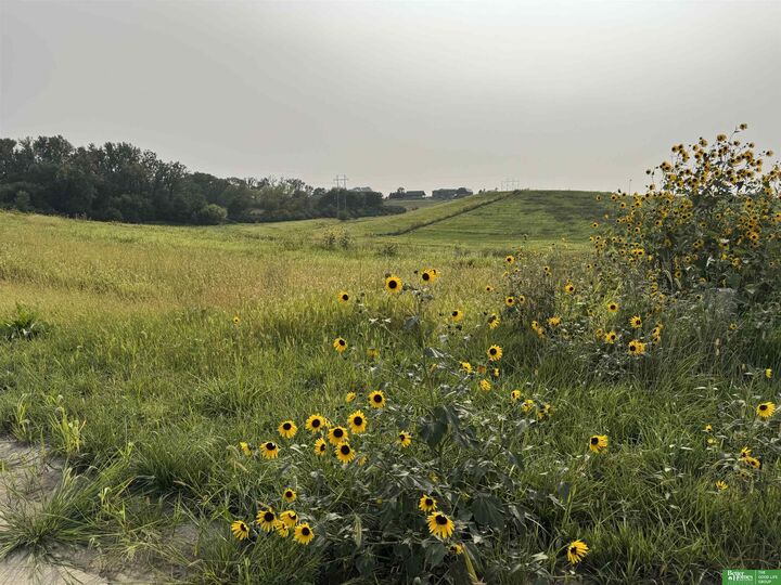 Property Photo: Tbd Lot 52 Street NE 68028