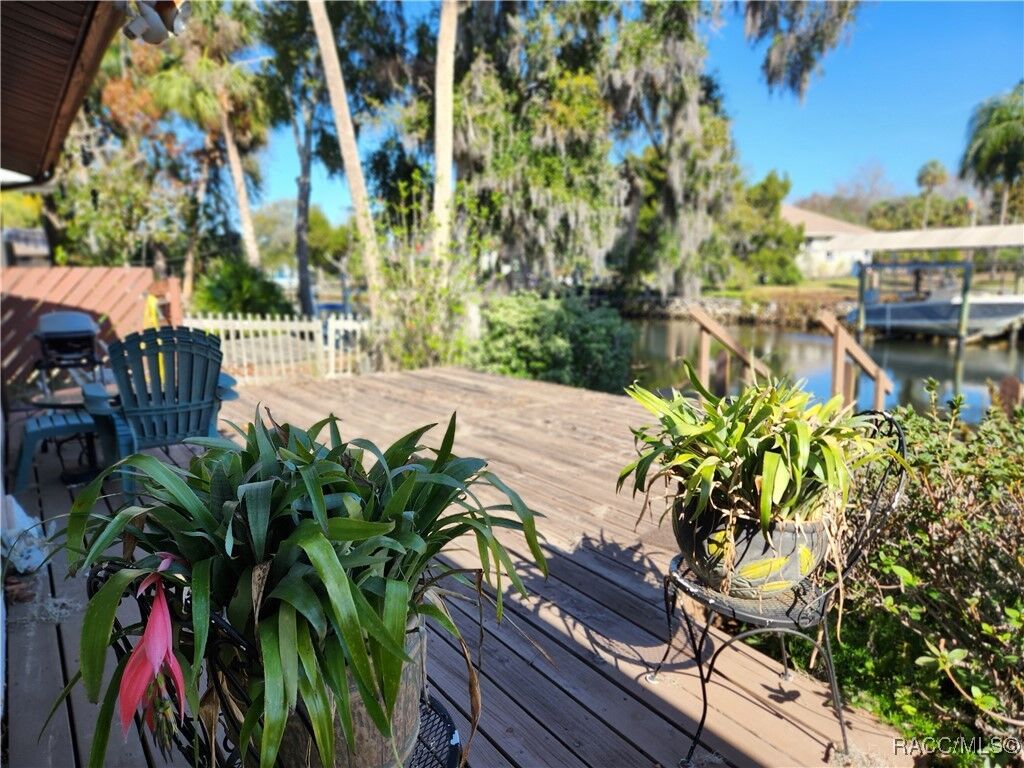 Property Photo:  11583 W Riverhaven Drive  FL 34448 